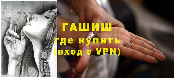 прущие грибы Аркадак