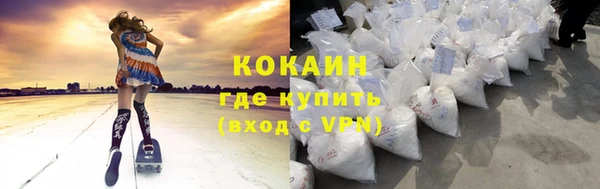 ECSTASY Алзамай
