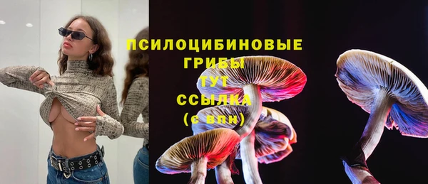 ECSTASY Алзамай
